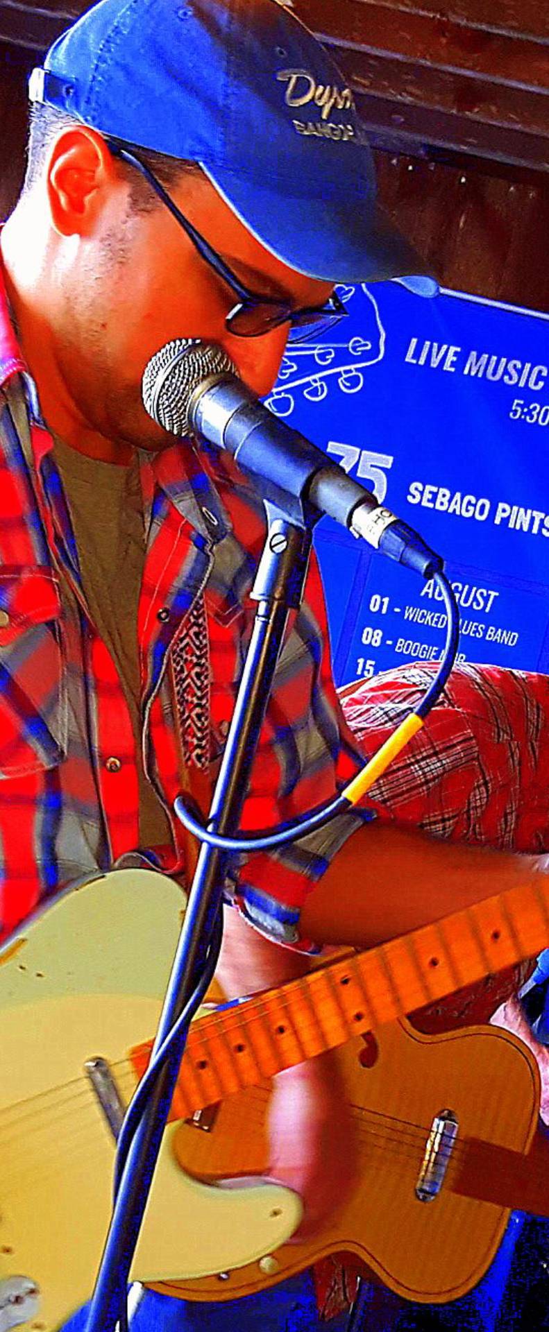 Plate of cooked clams with green leaves